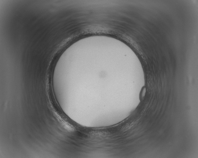 X0000073840629200609071542