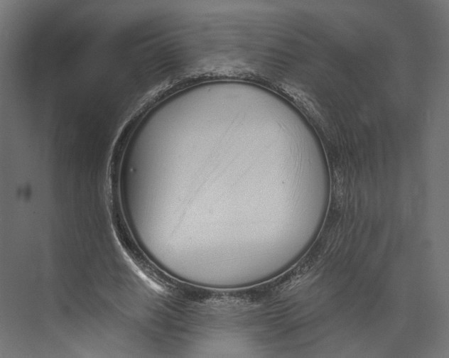 X0000073840630200609071542