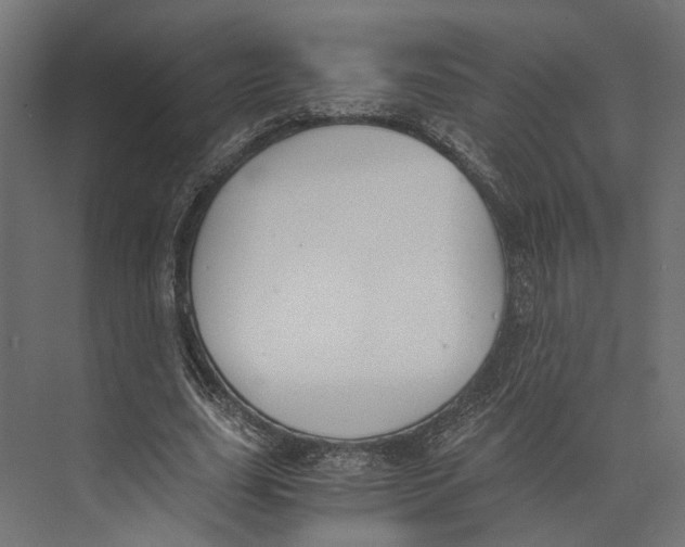 X0000073840631200609071542