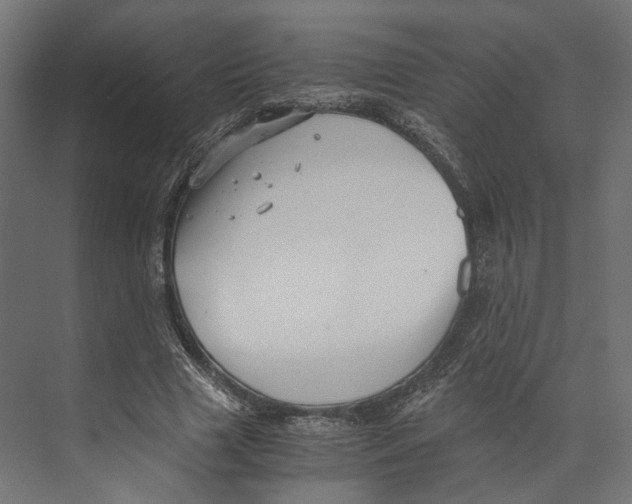 X0000073840633200609071542