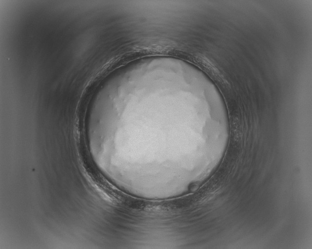 X0000073840634200609071542