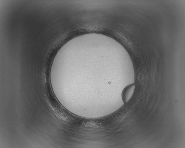 X0000073840635200609071542