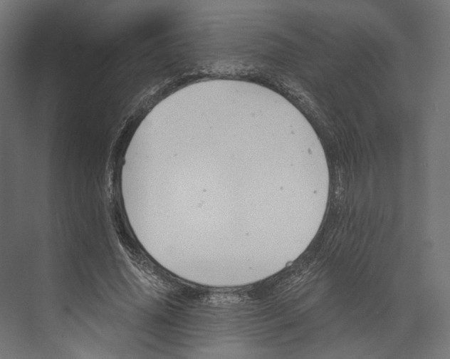 X0000073840636200609071542