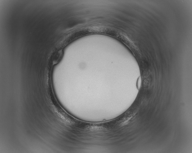 X0000073840637200609071542