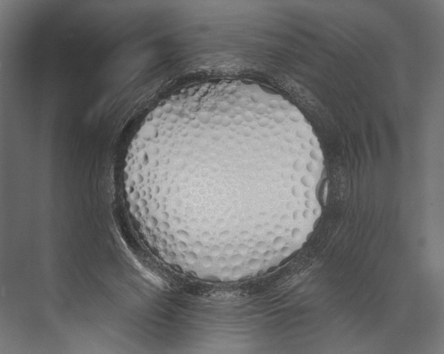 X0000073840638200609071542