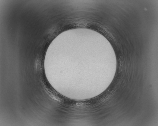 X0000073840641200609071542