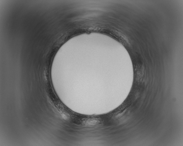 X0000073840643200609071542