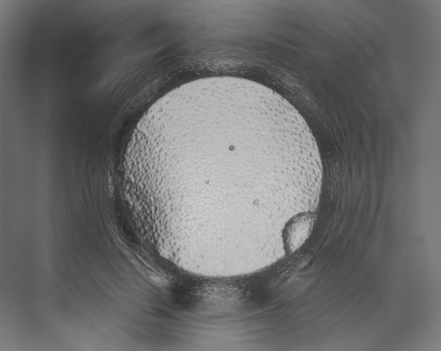 X0000073840644200609071542