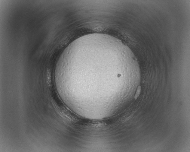 X0000073840646200609071542