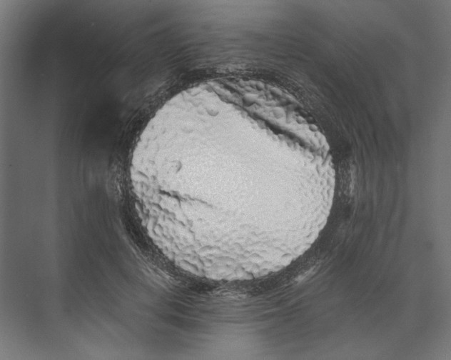 X0000073840648200609071542