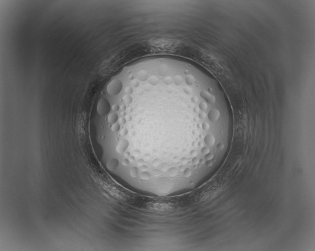 X0000073840649200609071542