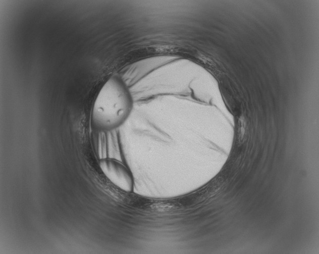 X0000073840650200609071542