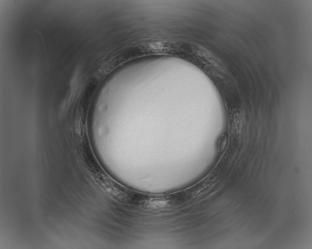 X0000073840651200609071542