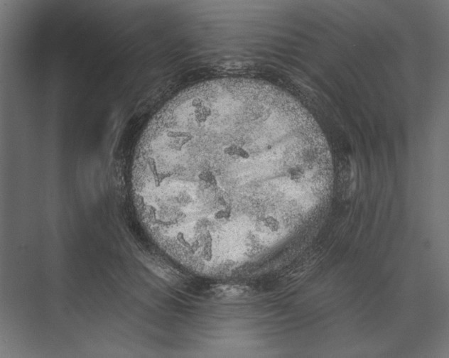 X0000073840654200609071542