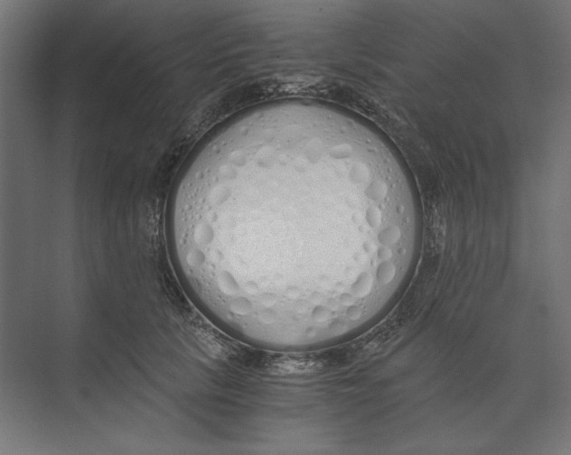 X0000073840657200609071542