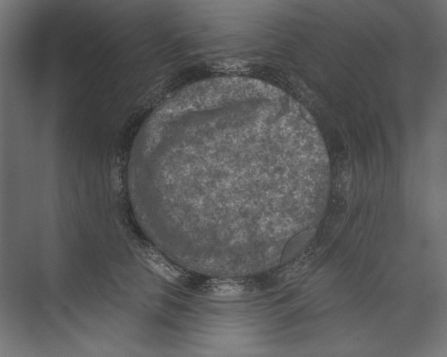 X0000073840658200609071542