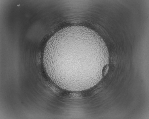 X0000073840660200609071542