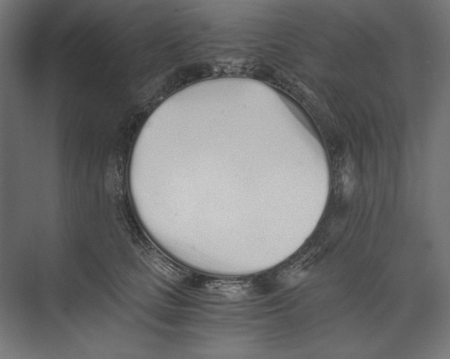 X0000073840661200609071542