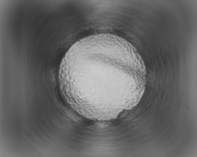 X0000073840662200609071542