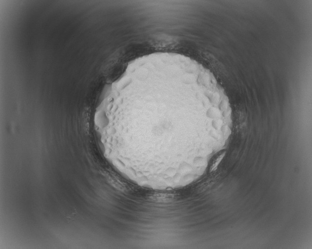 X0000073840664200609071542