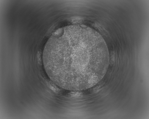 X0000073840667200609071542