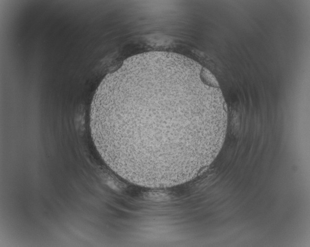 X0000073840668200609071542