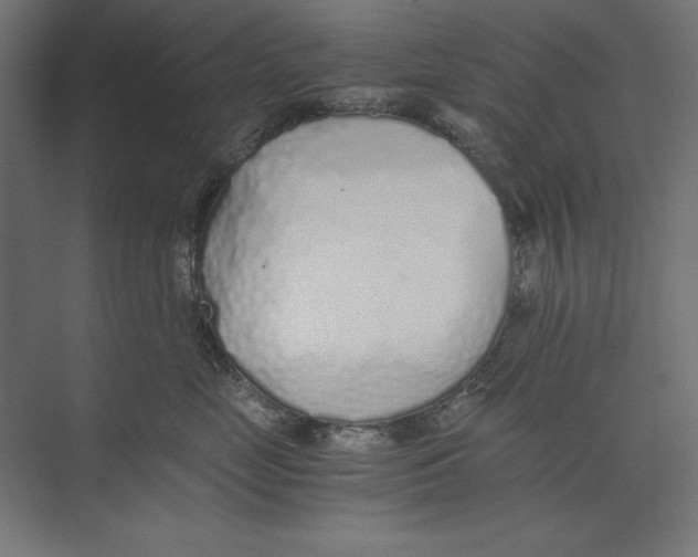 X0000073840669200609071542