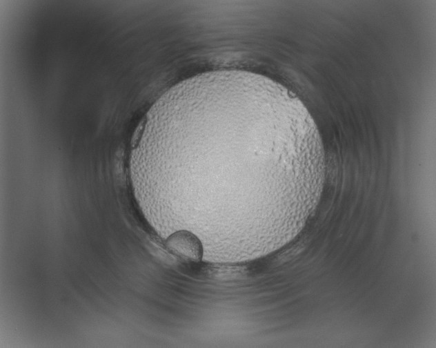 X0000073840670200609071542