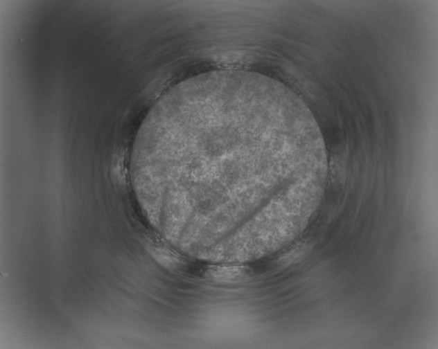 X0000073840671200609071542