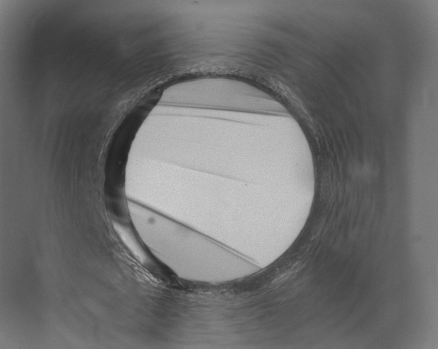 X0000073840673200609071542