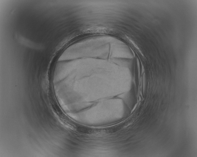 X0000073840674200609071542