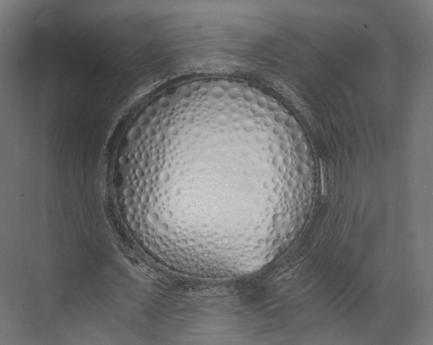 X0000073840675200609071542