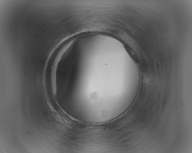 X0000073840676200609071542