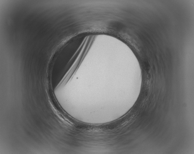 X0000073840677200609071541