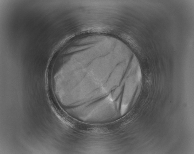 X0000073840678200609071541