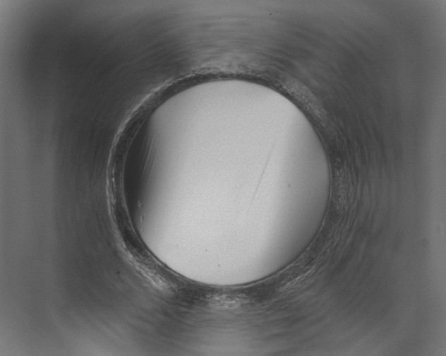 X0000073840680200609071541