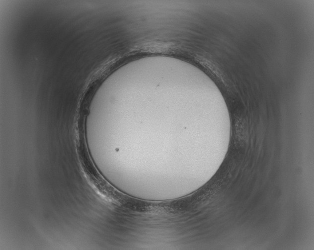 X0000073840682200609071541