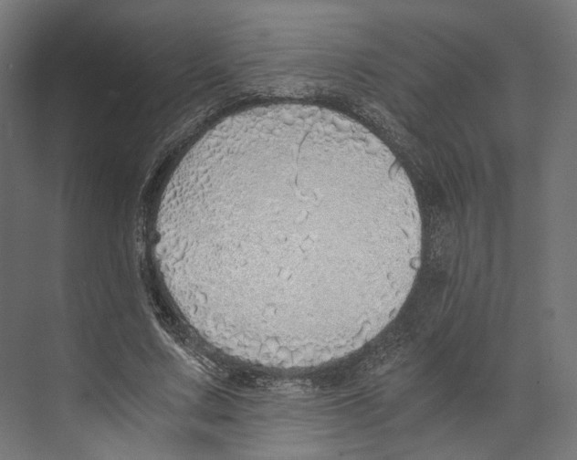 X0000073840683200609071541