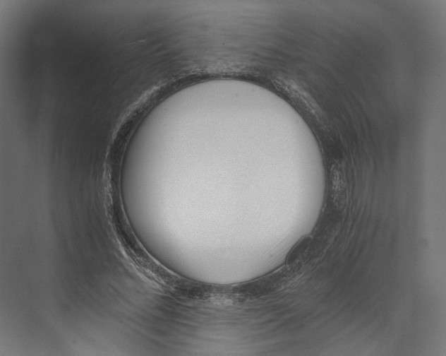 X0000073840684200609071541