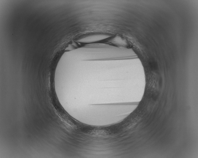 X0000073840685200609071541