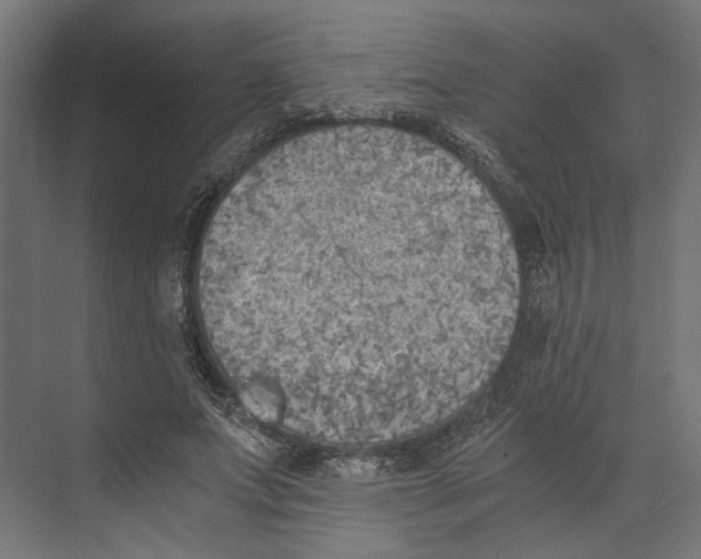 X0000073840687200609071541