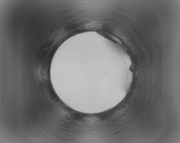 X0000073840689200609071541