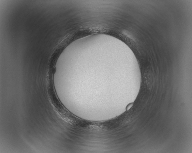 X0000073840690200609071541