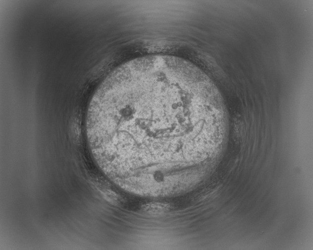 X0000073840691200609071541