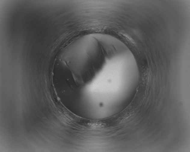 X0000073840693200609071541