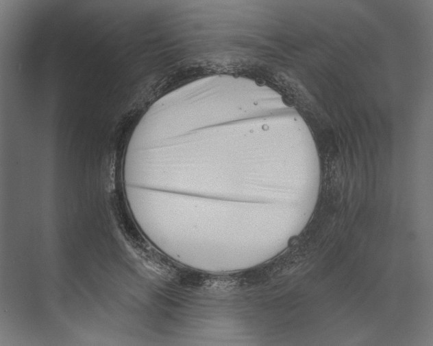 X0000073840694200609071541