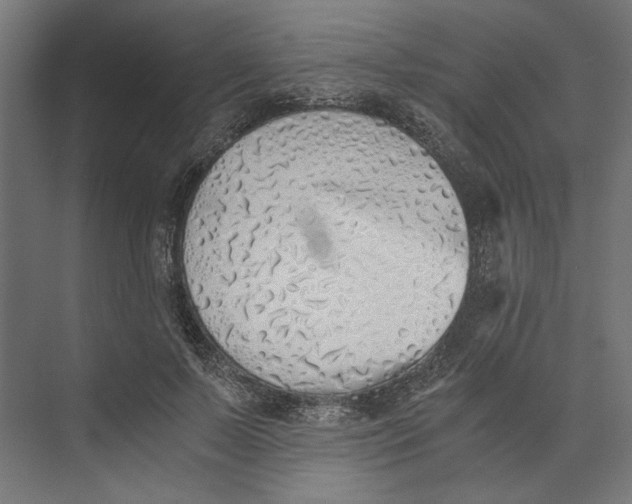 X0000073840695200609071541