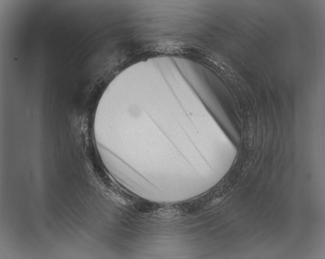 X0000073840696200609071541