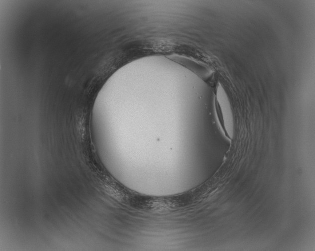 X0000073840697200609071541