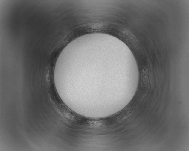 X0000073840698200609071541